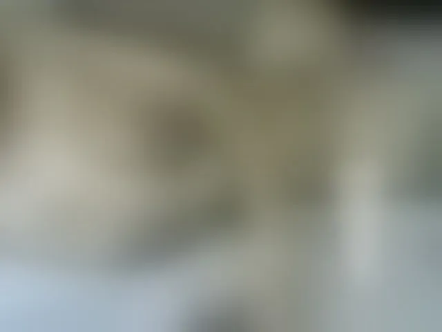 Live sex webcam photo for Drippqueen254 #293588317