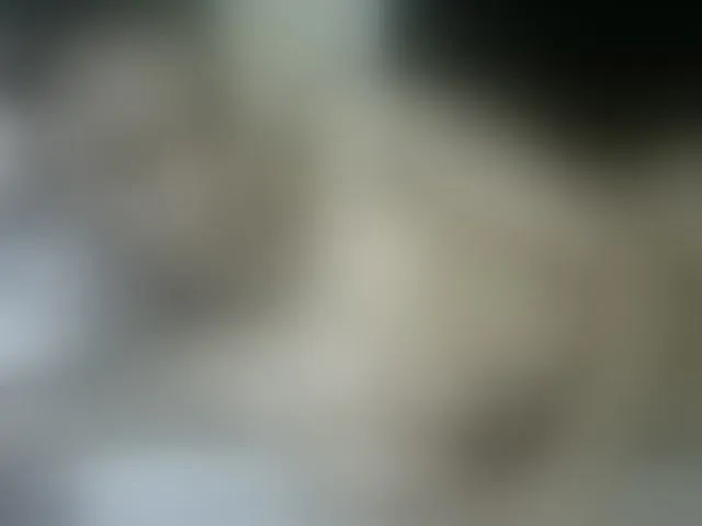 Live sex webcam photo for Drippqueen254 #293619604