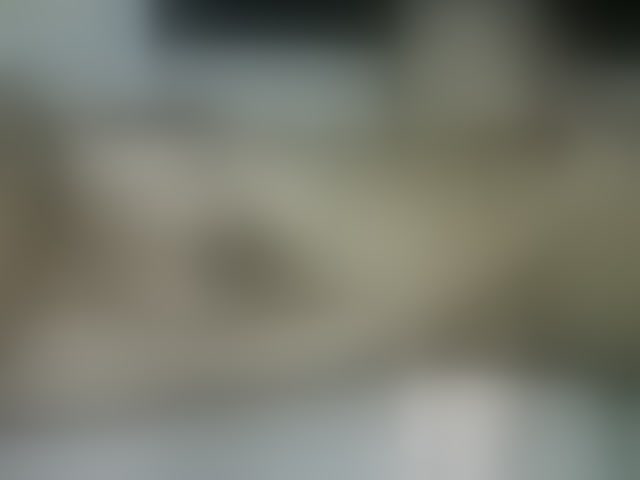 Live sex webcam photo for Drippqueen254 #293724631