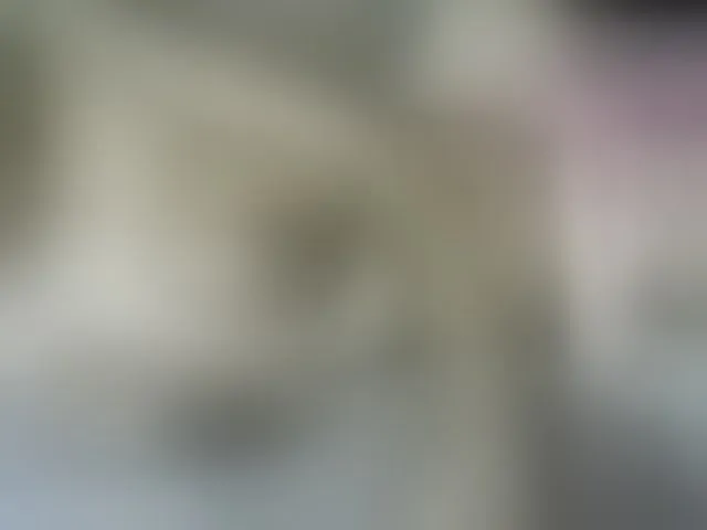 Live sex webcam photo for Drippqueen254 #293889719
