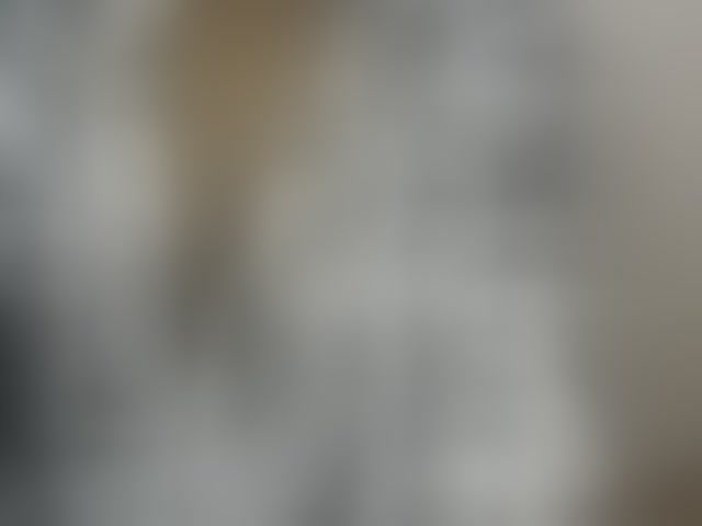 Live sex webcam photo for Drippypussy07 #294104868