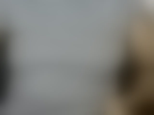 Live sex webcam photo for Drippypussy07 #294197039