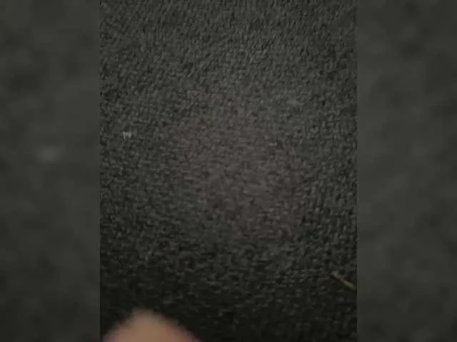 Live sex webcam photo for Drisi551 #280897679