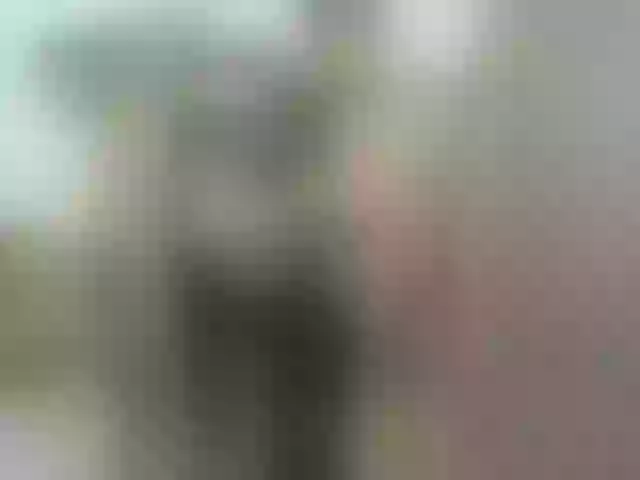 Live sex webcam photo for DulceRomance #288011442