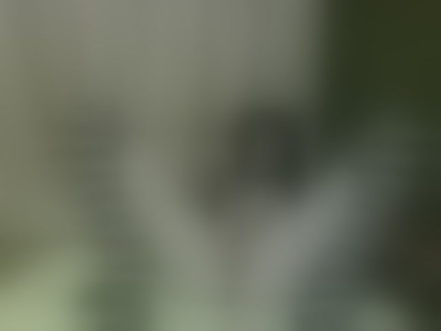 Live sex webcam photo for DzetaDelta #294179834