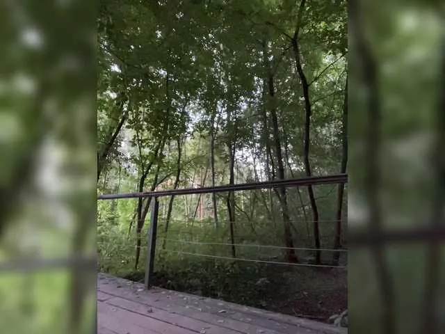 Live sex webcam photo for ELEKTRA2023 #280698749