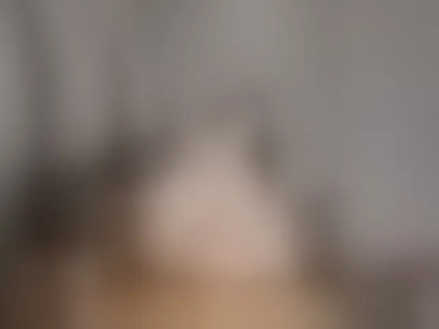Live sex webcam photo for EVA-CAT911 #294055439