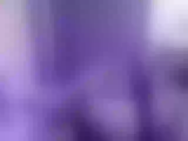Live sex webcam photo for EVA1172a #291371378