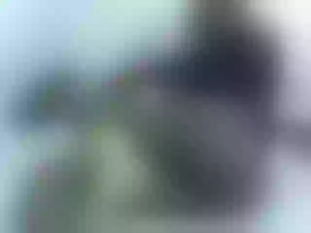 Live sex webcam photo for Ebony-curvedass #278123122
