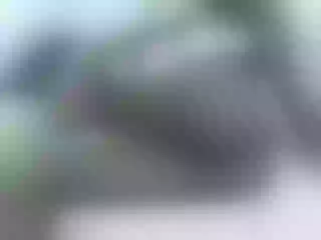 Live sex webcam photo for Ebony-curvedass #278129682