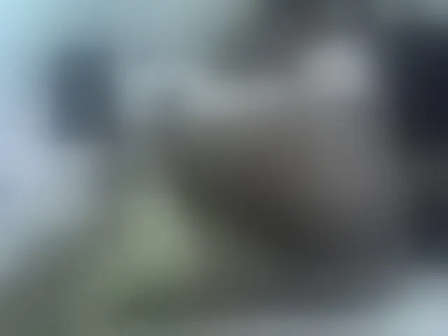 Live sex webcam photo for Ebony-curvedass #278136744