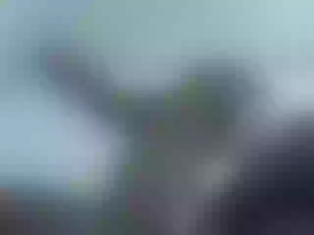 Live sex webcam photo for Ebony-curvedass #278162297