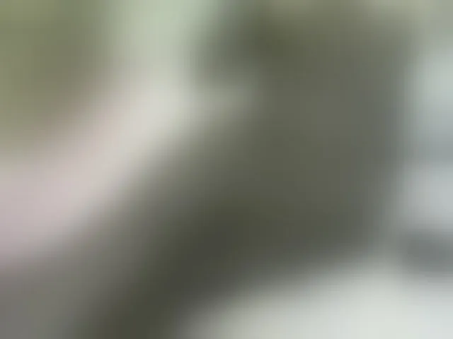 Live sex webcam photo for Ebony001 #275664347
