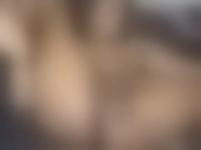 Live sex webcam photo for Ebonycutelyn #294172763