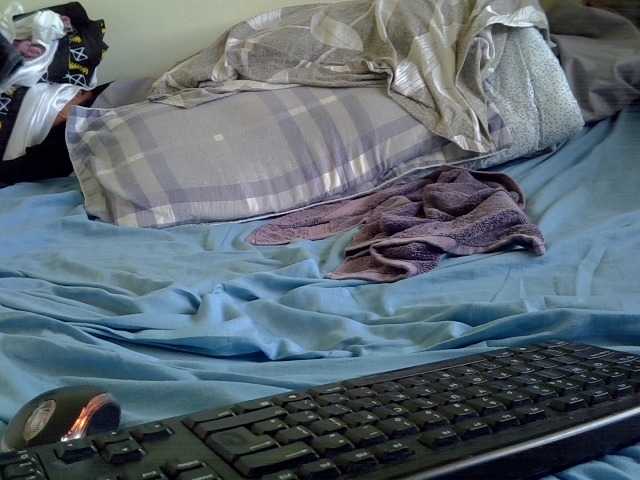 Live sex webcam photo for Ebonyliliana #288567855