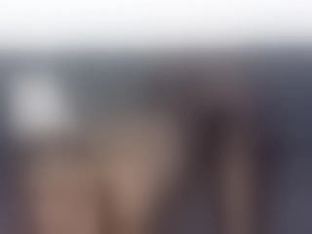 Live sex webcam photo for Ebonypetite #290142059