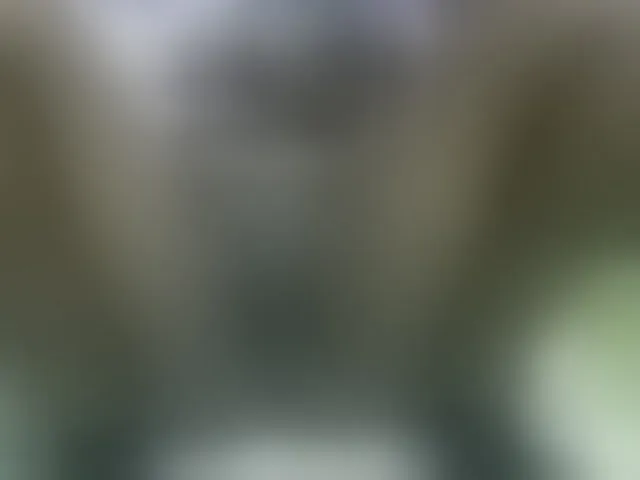 Live sex webcam photo for Ebonyquinter #276131588