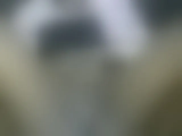 Live sex webcam photo for Ebonyquinter #276141684