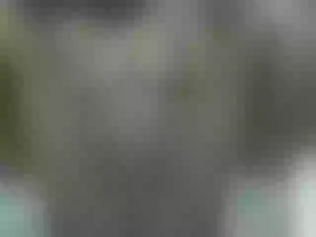 Live sex webcam photo for Ebonyquinter #276150927