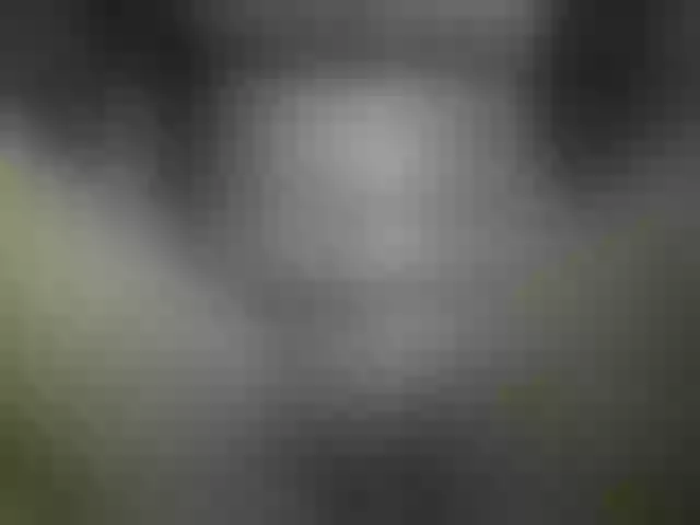 Live sex webcam photo for Ebonyquinter #276162992
