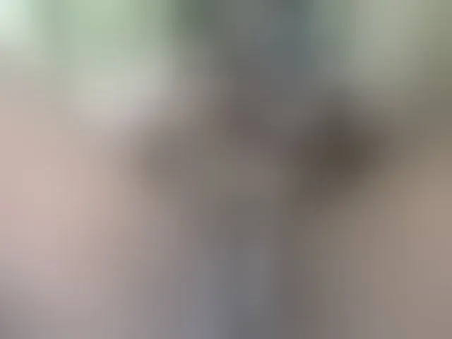Live sex webcam photo for Ebonyquinter #276227930