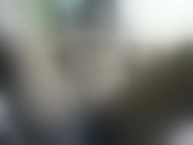 Live sex webcam photo for Ebonyquinter #276449203