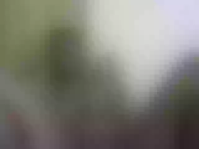 Live sex webcam photo for Ebonyquinter #276455244