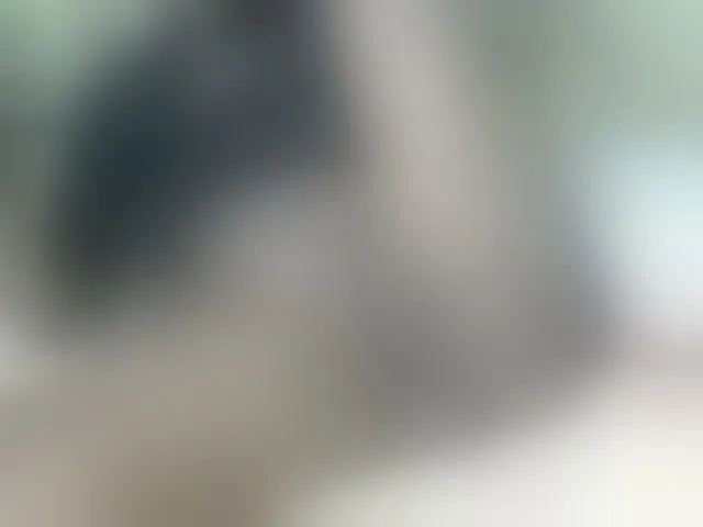 Live sex webcam photo for Ebonyquinter #276705848