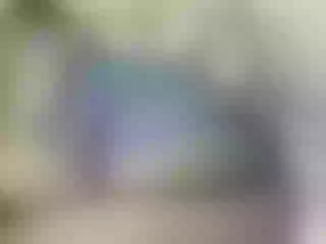 Live sex webcam photo for Ebonyquinter #276716746