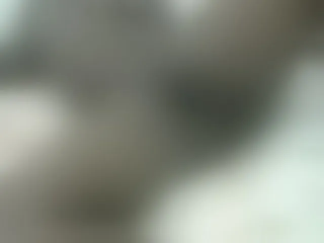 Live sex webcam photo for Ebonyquinter #277424989
