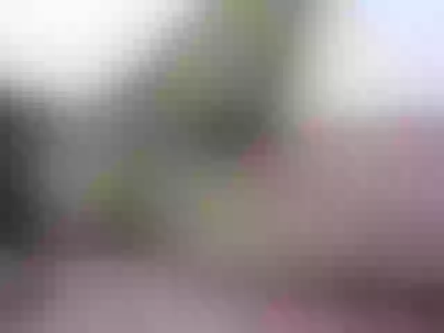 Live sex webcam photo for Ebonyquinter #277479253