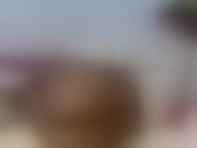 Live sex webcam photo for Ebonyquinter #277890899