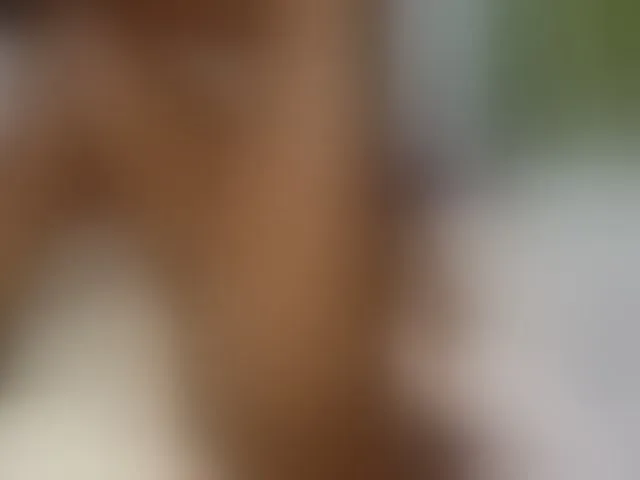 Live sex webcam photo for Ebonyquinter #277897709