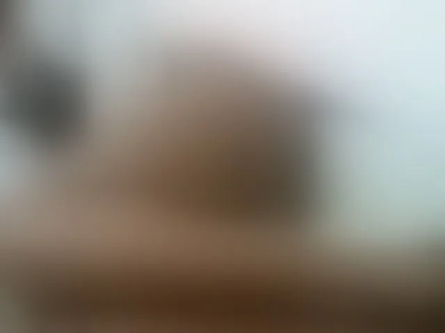 Live sex webcam photo for Ebonyquinter #278172358