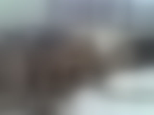 Live sex webcam photo for Ebonysly #294045783