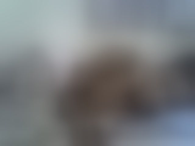 Live sex webcam photo for Ebonysly #294098017