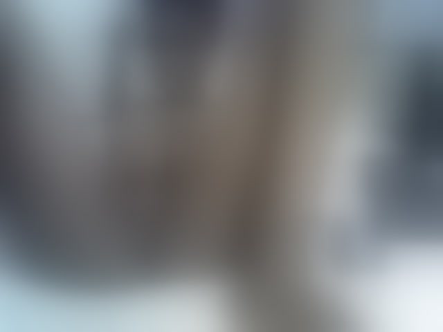 Live sex webcam photo for Ebonysly #294151077
