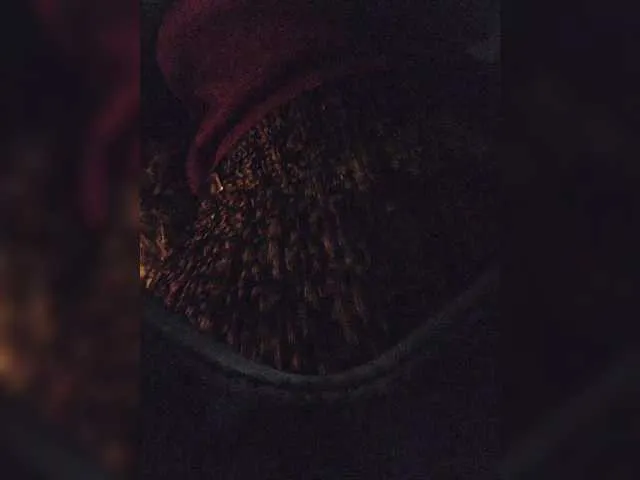 Live sex webcam photo for EditaMilf #292029532