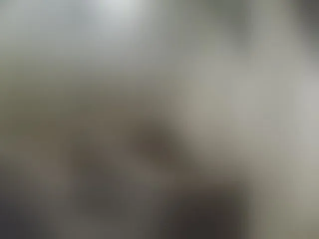 Live sex webcam photo for EditaMilf #294196862