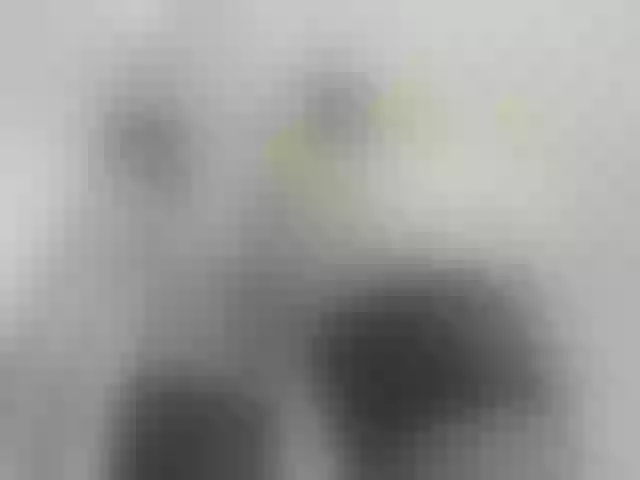 Live sex webcam photo for ego777me #287981626