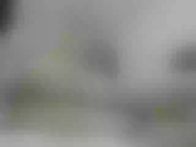 Live sex webcam photo for ego777me #287981630