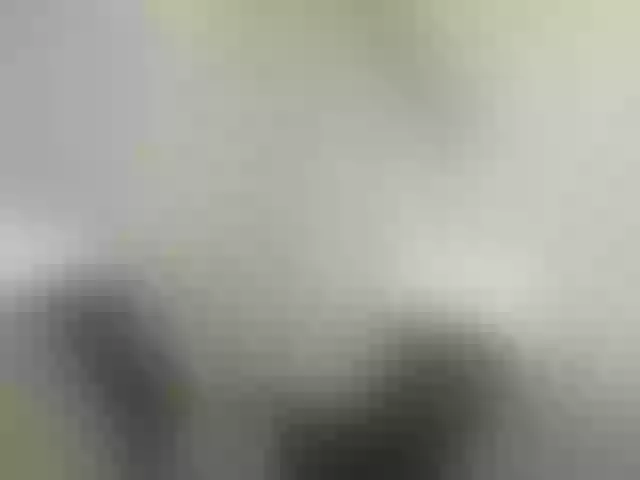 Live sex webcam photo for ego777me #287981647