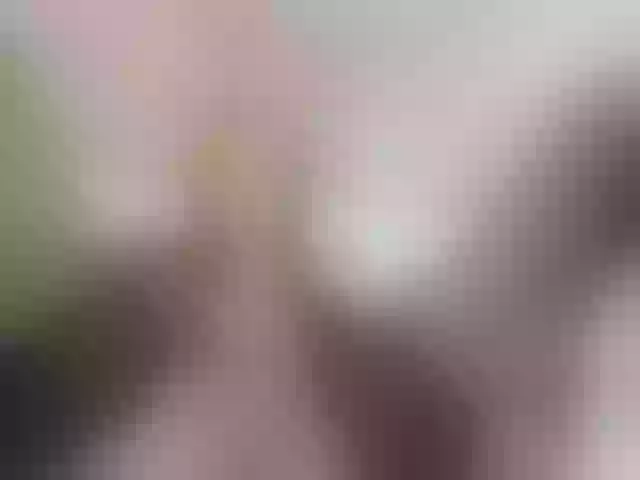 Live sex webcam photo for ego777me #287981657