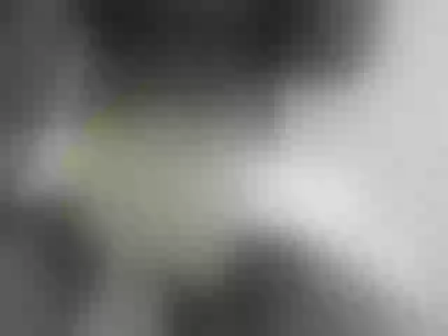 Live sex webcam photo for ego777me #287981669