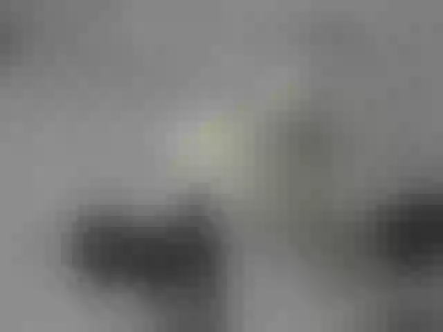 Live sex webcam photo for ego777me #287981691