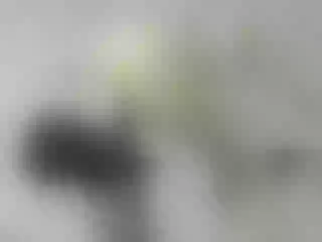 Live sex webcam photo for ego777me #287981695