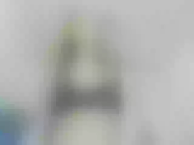 Live sex webcam photo for ego777me #287981696