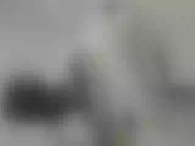 Live sex webcam photo for ego777me #287981699