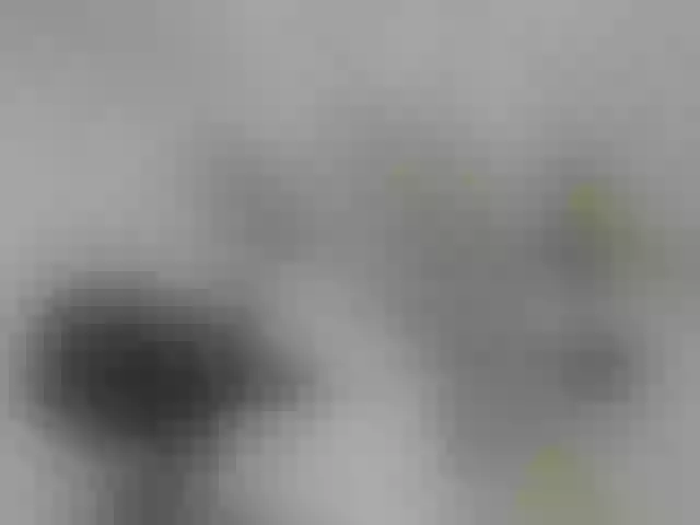 Live sex webcam photo for ego777me #287981702