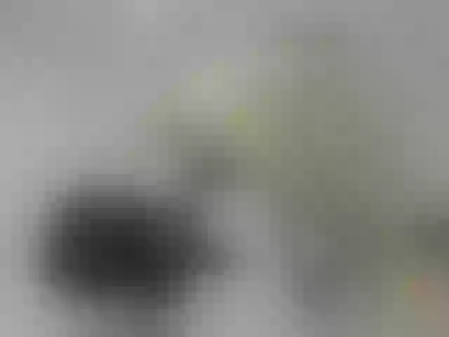 Live sex webcam photo for ego777me #287981708